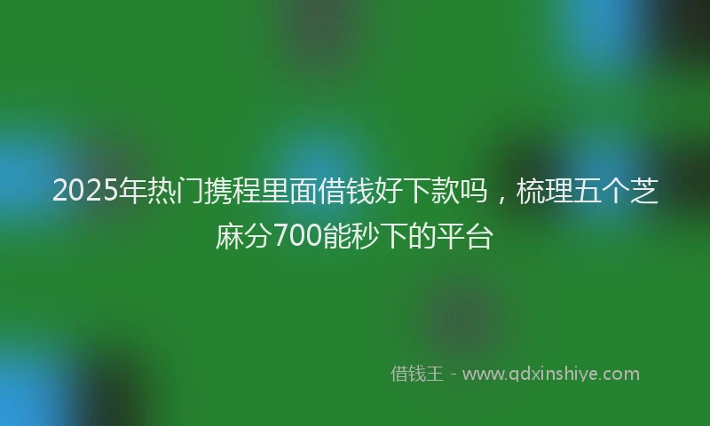 2025年热门携程里面借钱好下款吗，梳理五个芝麻分700能秒下的平台