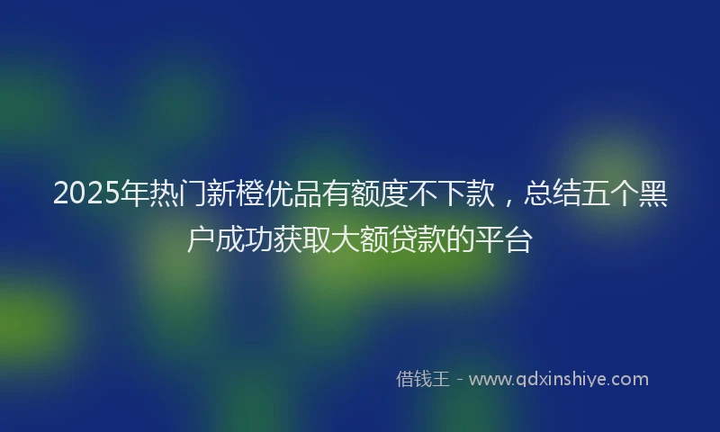 2025年热门新橙优品有额度不下款，总结五个黑户成功获取大额贷款的平台
