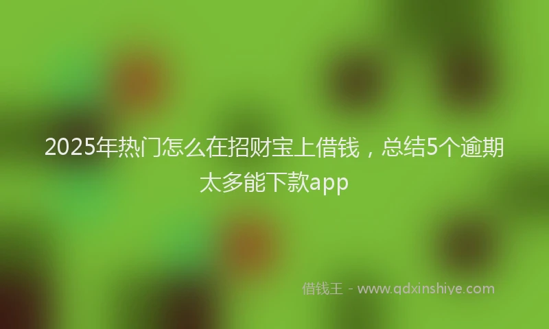 2025年热门怎么在招财宝上借钱，总结5个逾期太多能下款app