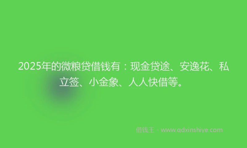 2025年的微粮贷借钱有：现金贷途、安逸花、私立签、小金象、人人快借等。