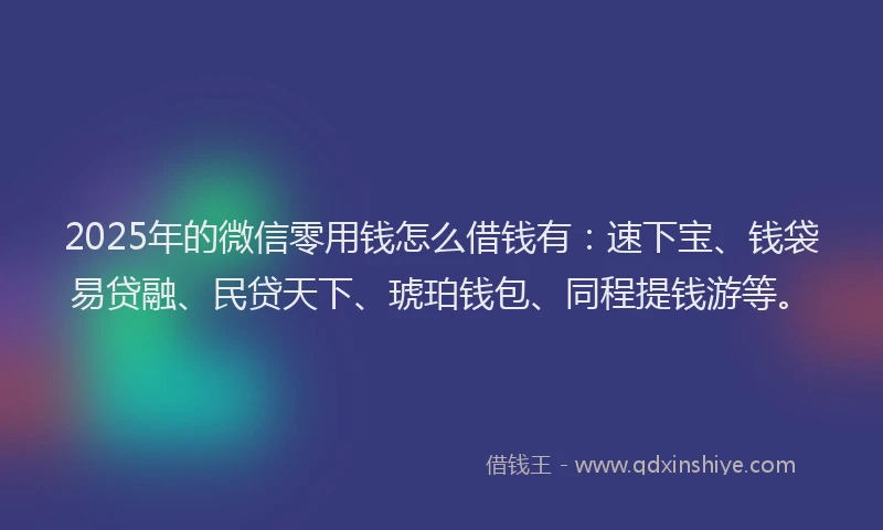 2025年的微信零用钱怎么借钱有：速下宝、钱袋易贷融、民贷天下、琥珀钱包、同程提钱游等。