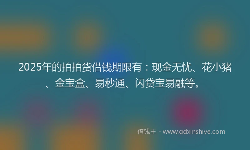 2025年的拍拍货借钱期限有：现金无忧、花小猪、金宝盒、易秒通、闪贷宝易融等。