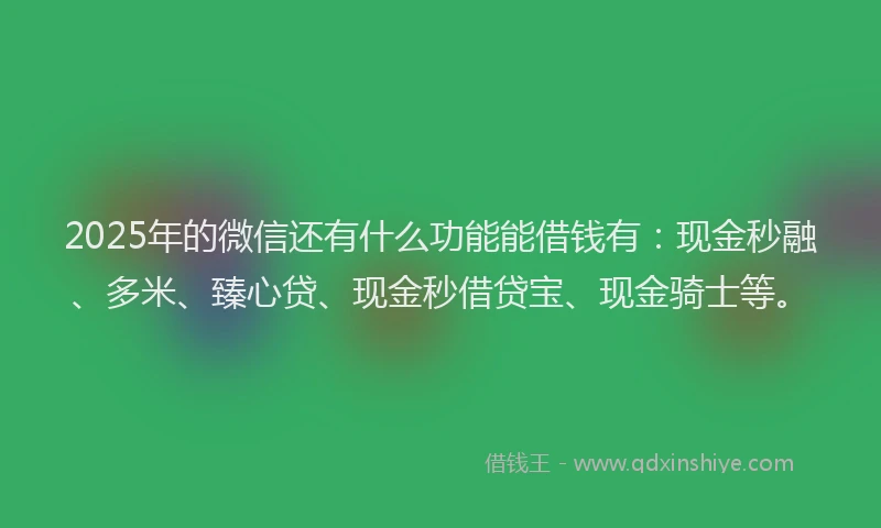 2025年的微信还有什么功能能借钱有：现金秒融、多米、臻心贷、现金秒借贷宝、现金骑士等。