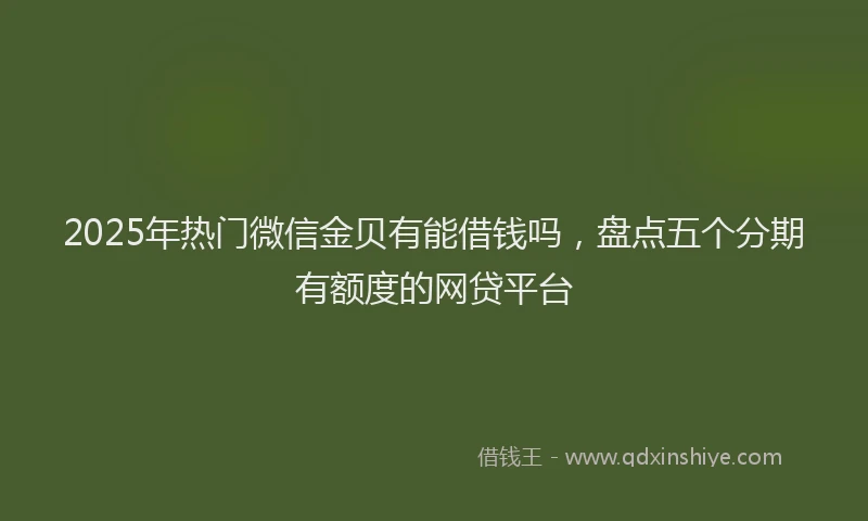 2025年热门微信金贝有能借钱吗，盘点五个分期有额度的网贷平台
