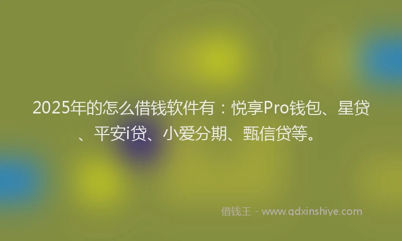 2025年的怎么借钱软件有：悦享Pro钱包、星贷、平安i贷、小爱分期、甄信贷等。