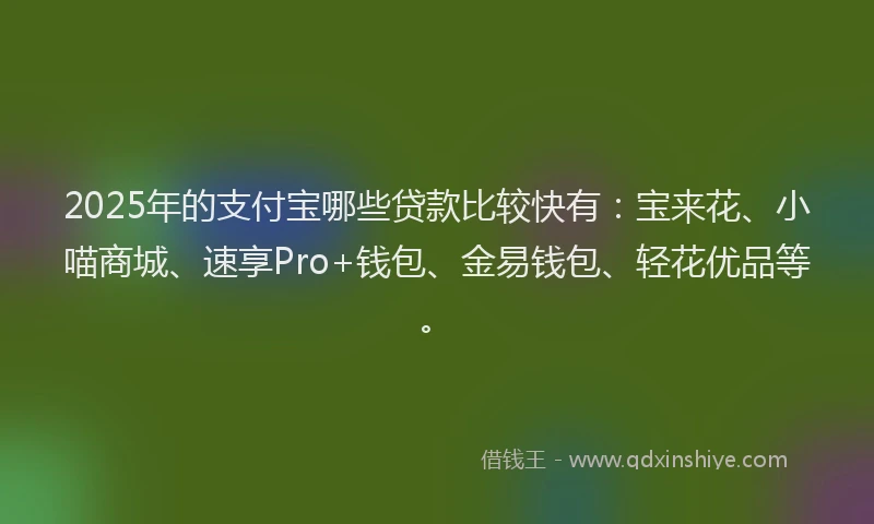 2025年的支付宝哪些贷款比较快有：宝来花、小喵商城、速享Pro+钱包、金易钱包、轻花优品等。