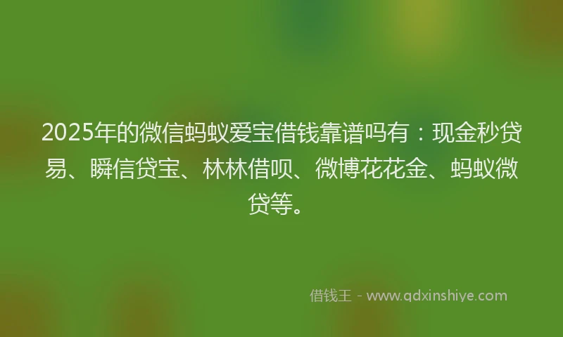 2025年的微信蚂蚁爱宝借钱靠谱吗有：现金秒贷易、瞬信贷宝、林林借呗、微博花花金、蚂蚁微贷等。