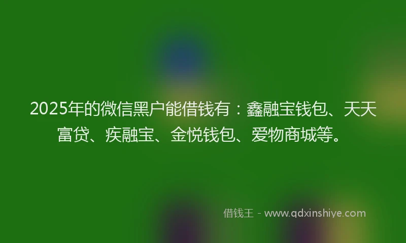 2025年的微信黑户能借钱有：鑫融宝钱包、天天富贷、疾融宝、金悦钱包、爱物商城等。