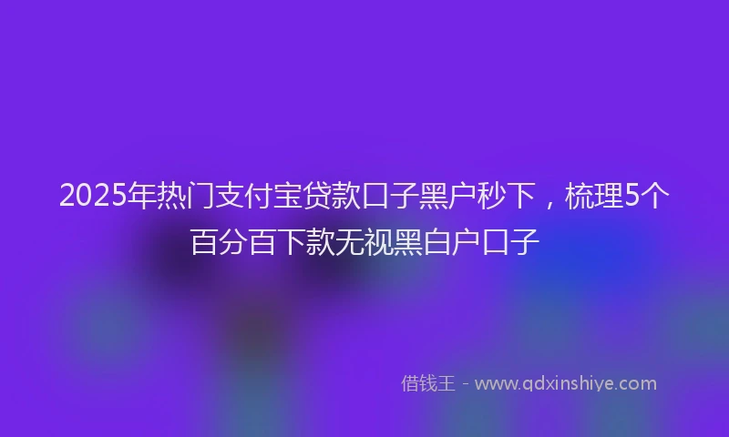 2025年热门支付宝贷款口子黑户秒下，梳理5个百分百下款无视黑白户口子
