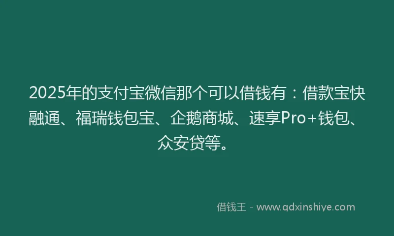 2025年的支付宝微信那个可以借钱有：借款宝快融通、福瑞钱包宝、企鹅商城、速享Pro+钱包、众安贷等。