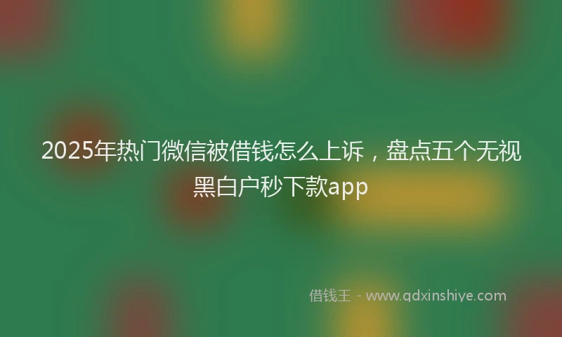 2025年热门微信被借钱怎么上诉，盘点五个无视黑白户秒下款app