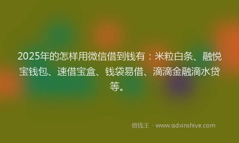 2025年的怎样用微信借到钱有：米粒白条、融悦宝钱包、速借宝盒、钱袋易借、滴滴金融滴水贷等。