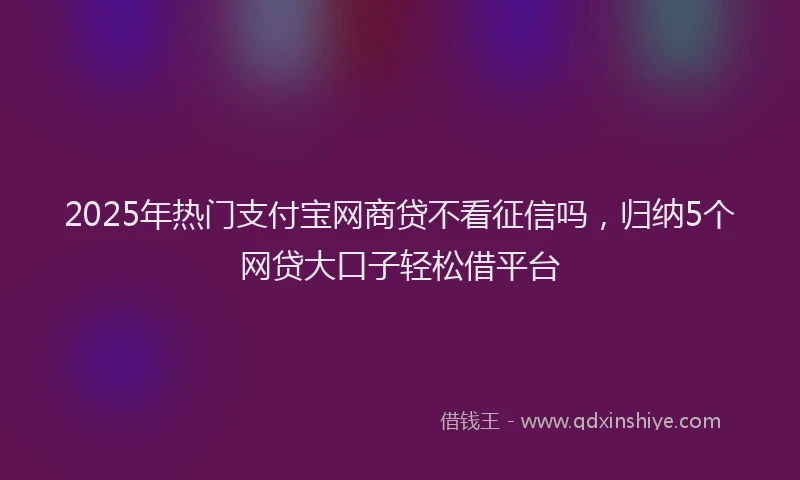 2025年热门支付宝网商贷不看征信吗，归纳5个网贷大口子轻松借平台