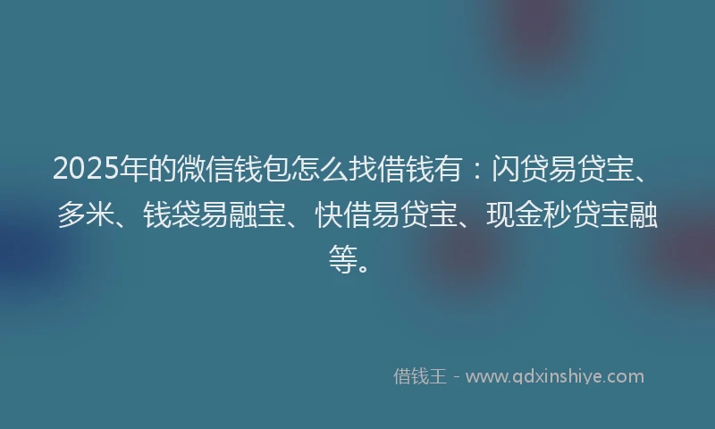 2025年的微信钱包怎么找借钱有：闪贷易贷宝、多米、钱袋易融宝、快借易贷宝、现金秒贷宝融等。