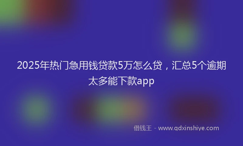 2025年热门急用钱贷款5万怎么贷，汇总5个逾期太多能下款app