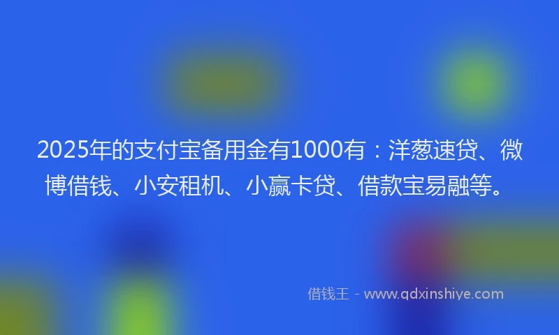 2025年的支付宝备用金有1000有：洋葱速贷、微博借钱、小安租机、小赢卡贷、借款宝易融等。