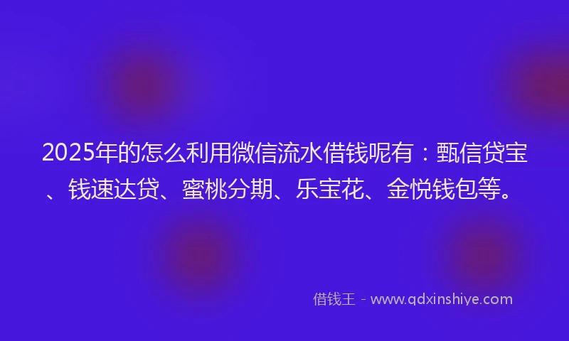2025年的怎么利用微信流水借钱呢有：甄信贷宝、钱速达贷、蜜桃分期、乐宝花、金悦钱包等。