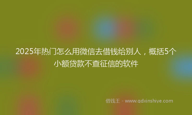 2025年热门怎么用微信去借钱给别人，概括5个小额贷款不查征信的软件