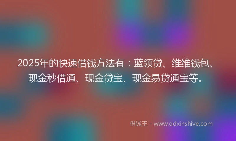 2025年的快速借钱方法有：蓝领贷、维维钱包、现金秒借通、现金贷宝、现金易贷通宝等。