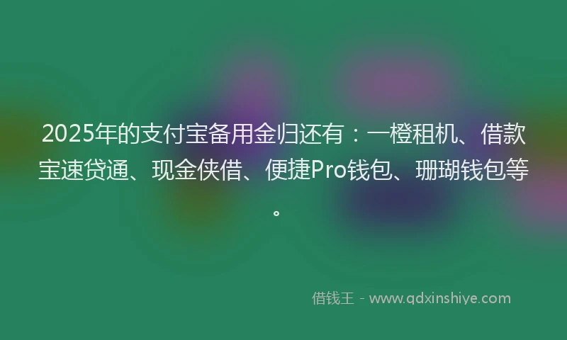 2025年的支付宝备用金归还有：一橙租机、借款宝速贷通、现金侠借、便捷Pro钱包、珊瑚钱包等。