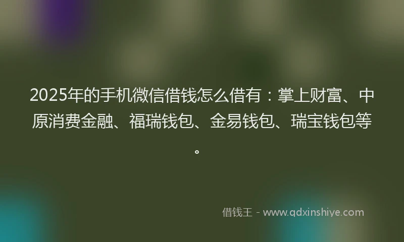 2025年的手机微信借钱怎么借有：掌上财富、中原消费金融、福瑞钱包、金易钱包、瑞宝钱包等。