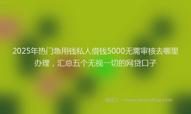 2025年热门急用钱私人借钱5000无需审核去哪里办理，汇总五个无视一切的网贷口子