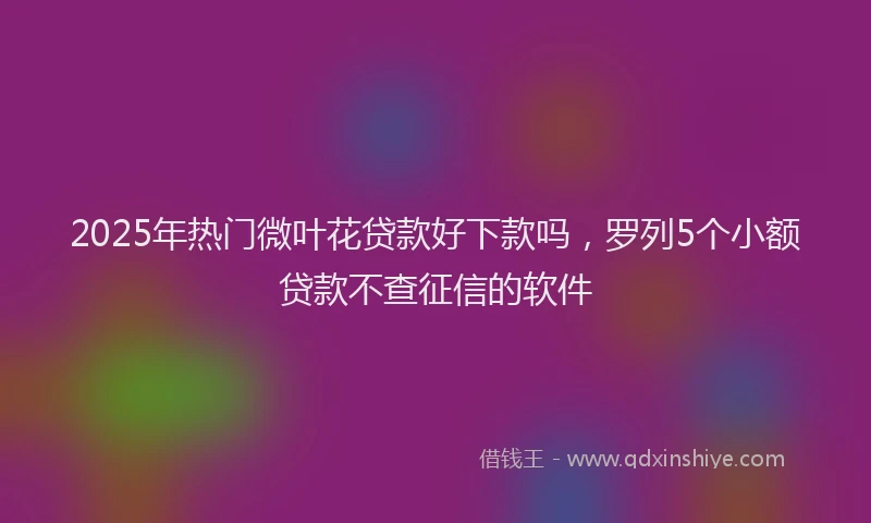 2025年热门微叶花贷款好下款吗，罗列5个小额贷款不查征信的软件