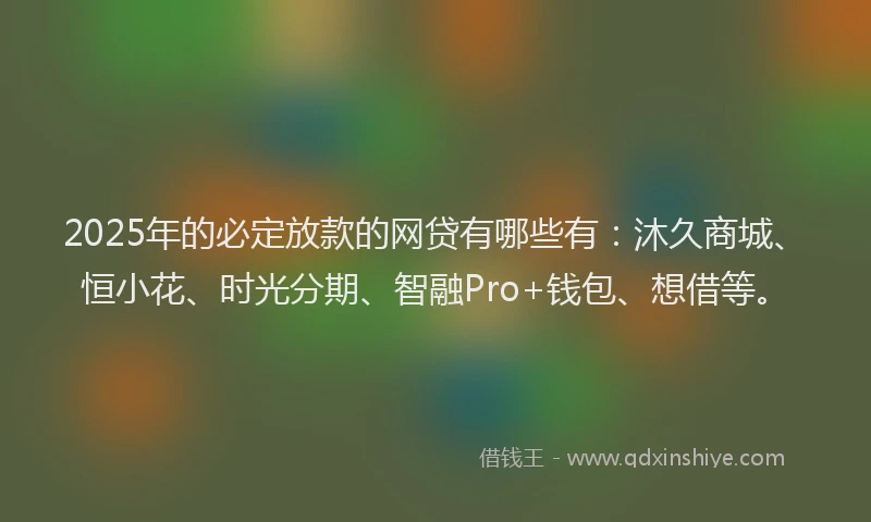 2025年的必定放款的网贷有哪些有：沐久商城、恒小花、时光分期、智融Pro+钱包、想借等。