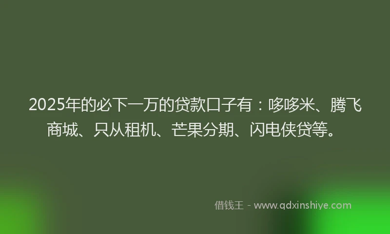 2025年的必下一万的贷款口子有：哆哆米、腾飞商城、只从租机、芒果分期、闪电侠贷等。