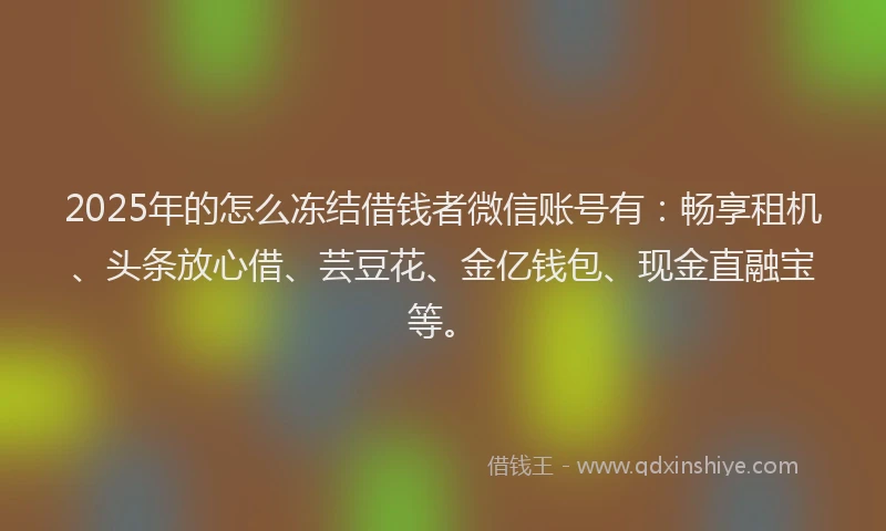2025年的怎么冻结借钱者微信账号有：畅享租机、头条放心借、芸豆花、金亿钱包、现金直融宝等。