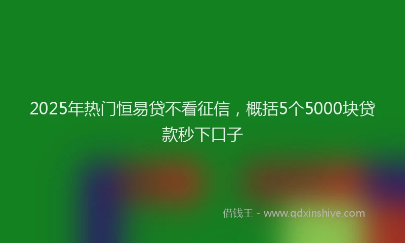 2025年热门恒易贷不看征信，概括5个5000块贷款秒下口子