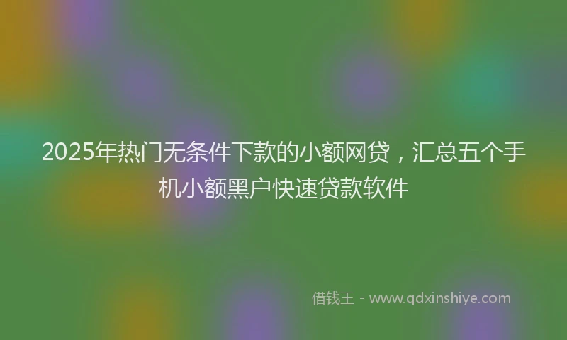 2025年热门无条件下款的小额网贷，汇总五个手机小额黑户快速贷款软件
