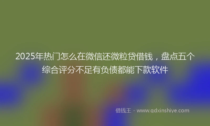 2025年热门怎么在微信还微粒贷借钱，盘点五个综合评分不足有负债都能下款软件