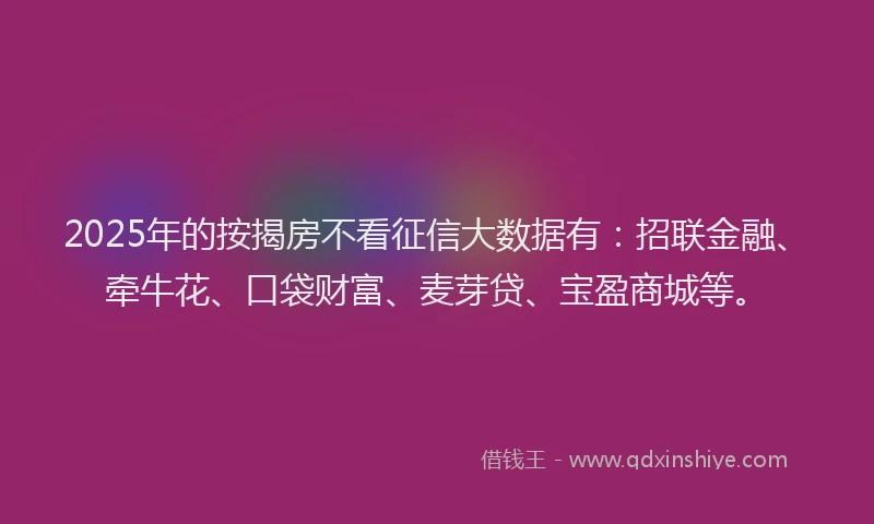 2025年的按揭房不看征信大数据有：招联金融、牵牛花、口袋财富、麦芽贷、宝盈商城等。