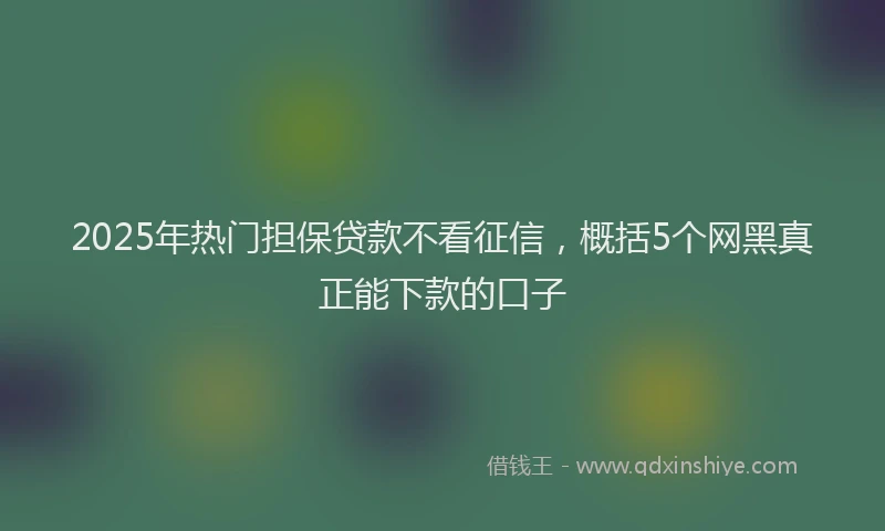 2025年热门担保贷款不看征信，概括5个网黑真正能下款的口子