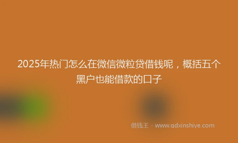 2025年热门怎么在微信微粒贷借钱呢，概括五个黑户也能借款的口子