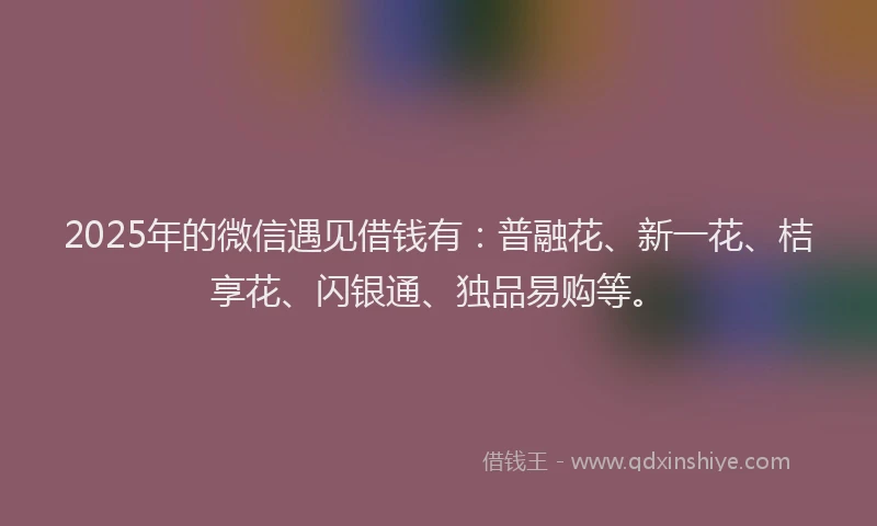 2025年的微信遇见借钱有：普融花、新一花、桔享花、闪银通、独品易购等。