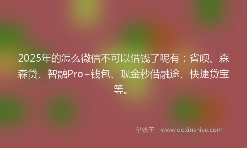 2025年的怎么微信不可以借钱了呢有：省呗、森森贷、智融Pro+钱包、现金秒借融途、快捷贷宝等。