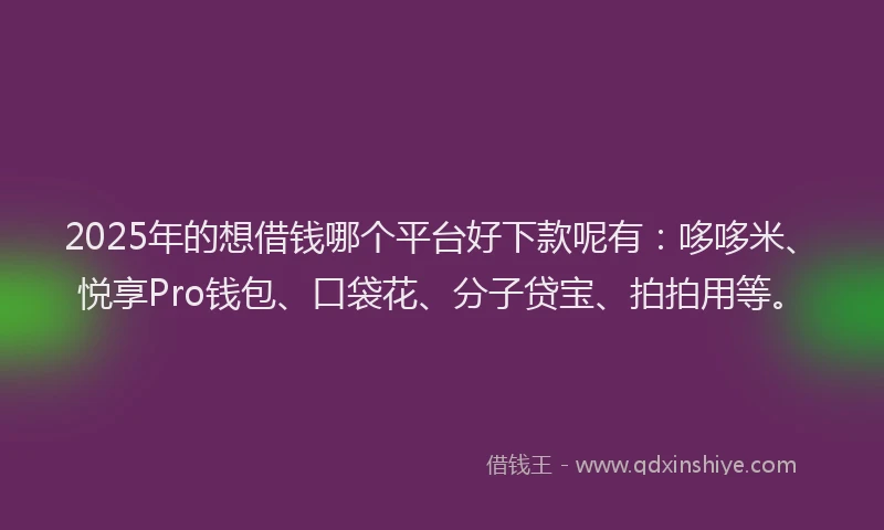 2025年的想借钱哪个平台好下款呢有：哆哆米、悦享Pro钱包、口袋花、分子贷宝、拍拍用等。