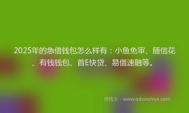 2025年的急借钱包怎么样有：小鱼免审、随信花、有钱钱包、首E快贷、易借速融等。