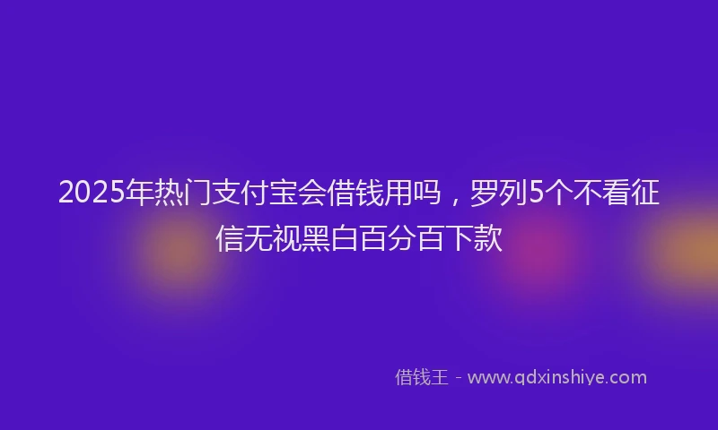2025年热门支付宝会借钱用吗，罗列5个不看征信无视黑白百分百下款