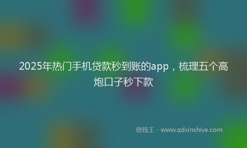 2025年热门手机贷款秒到账的app，梳理五个高炮口子秒下款