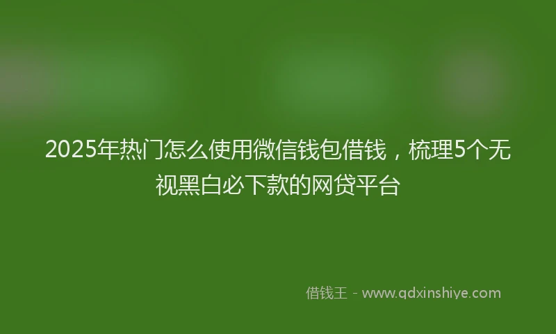 2025年热门怎么使用微信钱包借钱，梳理5个无视黑白必下款的网贷平台