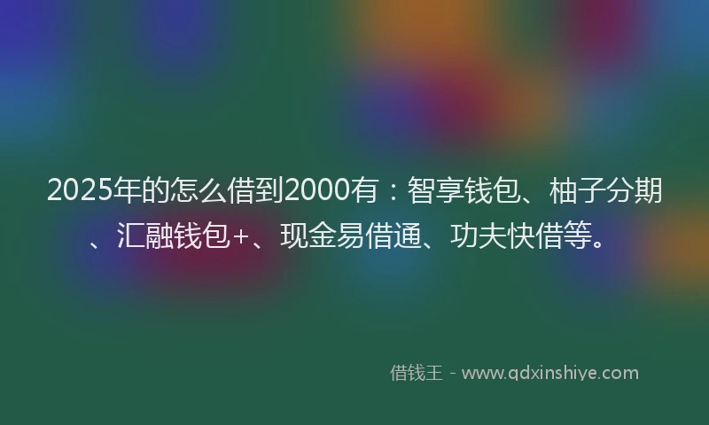 2025年的怎么借到2000有：智享钱包、柚子分期、汇融钱包+、现金易借通、功夫快借等。