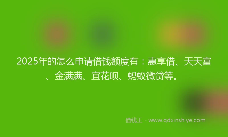 2025年的怎么申请借钱额度有：惠享借、天天富、金满满、宜花呗、蚂蚁微贷等。