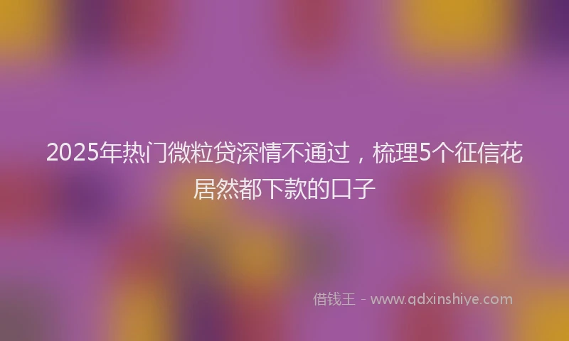 2025年热门微粒贷深情不通过，梳理5个征信花居然都下款的口子