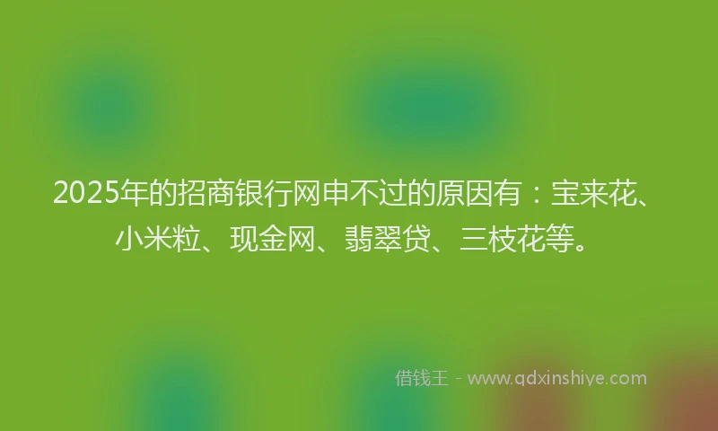 2025年的招商银行网申不过的原因有：宝来花、小米粒、现金网、翡翠贷、三枝花等。