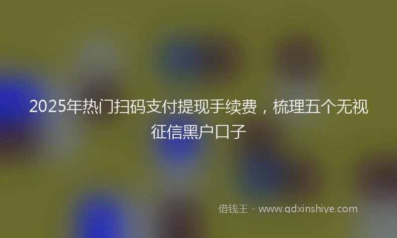 2025年热门扫码支付提现手续费，梳理五个无视征信黑户口子
