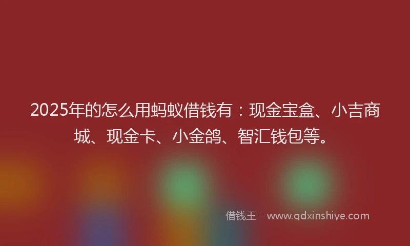 2025年的怎么用蚂蚁借钱有：现金宝盒、小吉商城、现金卡、小金鸽、智汇钱包等。