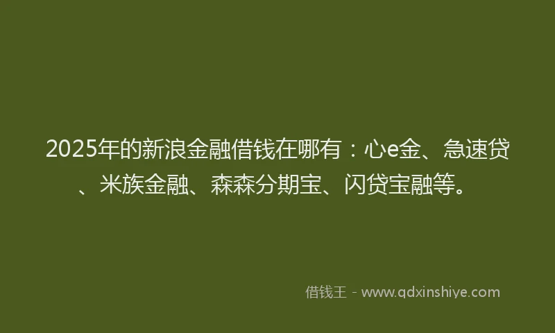 2025年的新浪金融借钱在哪有：心e金、急速贷、米族金融、森森分期宝、闪贷宝融等。